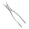 23 Cow Horn Dental Forceps - SurgicalExcel 86-023