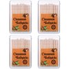 Mumufy 400 Pcs 4 Boxes Cinnamon Toothpicks for Adults Cinnamon Flavored Toothpicks with Clear Plastic Boxes, 100 Pcs for Each Box