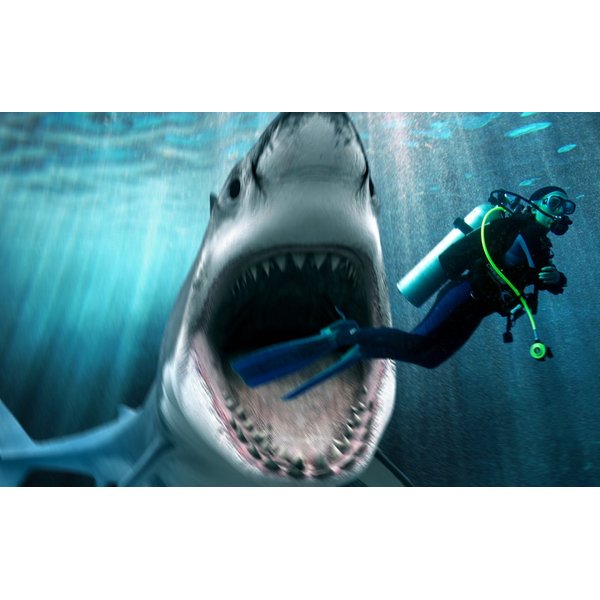 Shark Attacking Scuba Diver Edible Icing Image for 1/4 sheet cake