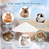 Sukh 420g Hamster Sand Bath - Dust Free Desert Sand Hamster Bedding Reptile Silica Sand Gerbil Hideout for Hamster Chinchillas Gerbil Syrian Mice Small Animals Small Pets