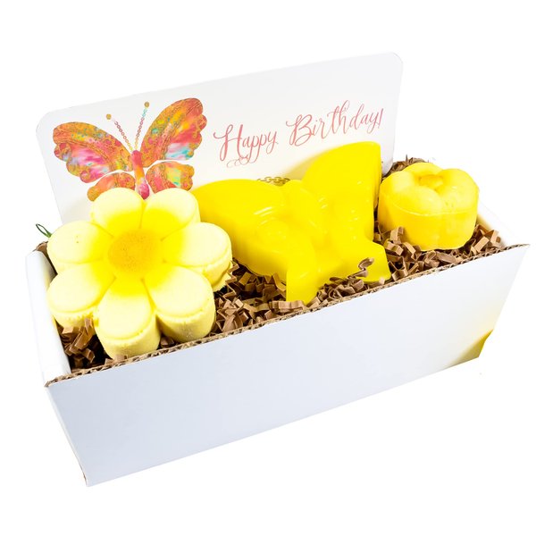 Raspberry Lemonade Happy Birthday Spa Gift Set For Kids with Butterfly Soap Flower Bath Bomb and Flower Solid Bubble Bath Bar