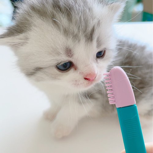 Cat Head Brush, Cat acne Cleaner Pet Eye Comb Brush Pet Tear Stain Remover Comb Cleaning Grooming Tools Brush for Small Cat Dog Gentle Cleaning Eye Scabs Dogs Tear Stain Remover Gently remove