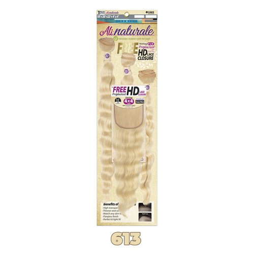 Chade Fashions Ali Naturale Weave Straight 18", 20", 22" + HD 4X4 Closure Human Hair Blended 1 Pack Solution - AN344S5 (613)