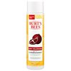Burt's Bees Pomegranate Seed Oil Very Volumizing Conditioner, Sulfate-Free Conditioner, 10 Oz (Package May Vary)