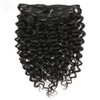 Lacer Curly Clip in Human Hair Extensions Jerry Curly 3B 3C Real Hair Clip in Extensions For Black Women Natural Black Color 100% Brazilian African American Hair Extension (18 inch, Jerry Curly #1B)