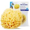 Baby Buddy Natural Wool Sea Sponge, Newborn Bath Time Essential, Ultra Soft for Delicate Skin, Hypoallergenic and Biodegradable, 1 Pack