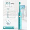 Blenpapa USB Rechargeable Sonic Electric Toothbrush for Adults Powered Motor Soft Dupont Brush Heads 2 Minutes Timer 5 Modes Teeth Whitening, Green