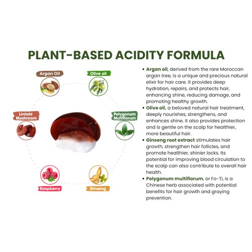 TOC Hair Dye Shampoo 3 in 1, Natural Herbal for Women Men, Hair Color For Gray Hair Coverage, Root Cover Up, Long-lasting Color Up To 3-4 Weeks, Instantly In 10 Minutes - Brown Black 400 Ml