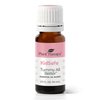 Plant Therapy KidSafe Tummy All Better Essential Oil Blend 10 mL (1/3 oz) 100% Pure, Undiluted, Therapeutic Grade