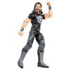 WWE Seth Rollins Action Figure