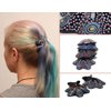 Hair Barrette Hand Painted Hair Clips. Styling for Women and Girls. This Attractive Hair Accessory can be used as a Ponytail Holder or a Hair Grip. for Thick & Thin Hair. 2 Pcs Uniquely Hand Crafted