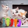 ISCRIO Cat Mint Toys, Cat Toy, Catnip Toys for Cats, Cat Chew Toy, Vegetable cat Mint Toy, Interactive Cat Toy, Cat Toys with Catnip, Cat Pillow Toys for Teeth Cleaning Playing, 5 Pack