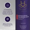 Hydra Professional Intense Repair Moisturizing and Volumizing Mask for Pets, Cat and Dog Hair Conditioner, Good for Damaged, Long, or Bulky Coats