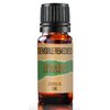 Sensible Remedies Avocado Oil 100% Pure and Natural Distilled 5 mL (0.167 fl oz)