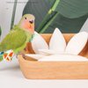 Mivofun Natural Cuttlebone for Birds Parakeets Canaries Cockatiels Small Conures Mynahs Toucans African Greys All Parrots Snails Totoise, with Holder for Bird Cage (3.9-4.5",2PCS)