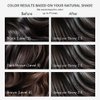 Naturigin Permanent Hair Dye, 2.3 Ebony Black, Ammonia and Paraben Free, up to 100% Gray Hair Coverage, Long Lasting, Vegan, Cruelty Free