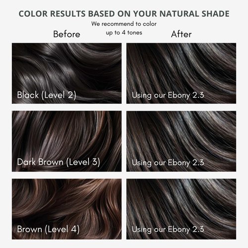 Naturigin Permanent Hair Dye, 2.3 Ebony Black, Ammonia and Paraben Free, up to 100% Gray Hair Coverage, Long Lasting, Vegan, Cruelty Free