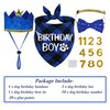 STMK Dog Birthday Party Supplies, Multi Size Dog Birthday Hat with Numbers Dog Birthday Boy Bandana Bow Tie for Small Dogs Pets (Blue, Small)