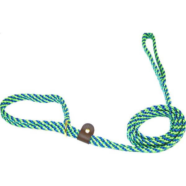 Lone Wolf Slip Lead with Leash and Collar for Pets, 5/8 by 4-Feet, Surfside Lime Green/Pacific Blue Spiral