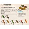 Rebel Lures Crickhopper Cricket / Grasshopper Crankbait Fishing Lure, 1 1/2 Inch, 1/4 Ounce, Summer Hopper, Crickhopper (3/32 oz)
