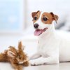Ruffin' It Westminster Pet Woodlands Plush Dog Toy Rabbit Small, Mutli