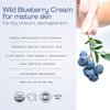 Indian Meadow Herbals Wild Blueberry Cream for Mature Skin (3.4oz) – Fine Line Face Cream Promotes Younger-Looking Skin - Deep Facial Moisturizer