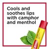 Carmex Medicated Lip Balm Sticks, Lip Moisturizer for Dry, Chapped Lips, 0.15 OZ - (2 Packs of 3)
