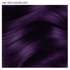Adore Semi Permanent Hair Color - Vegan and Cruelty-Free Hair Dye - 4 Fl Oz - 186 Rich Eggplant (Pack of 2)