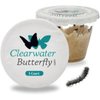 Clearwater Butterfly Live Painted Lady Butterflies - 5 Live Caterpillars - Live Caterpillars to Butterflies - Caterpillars for Butterfly Kit - Mesh Cage Not Included - Live Butterfly Kit - 5 Count