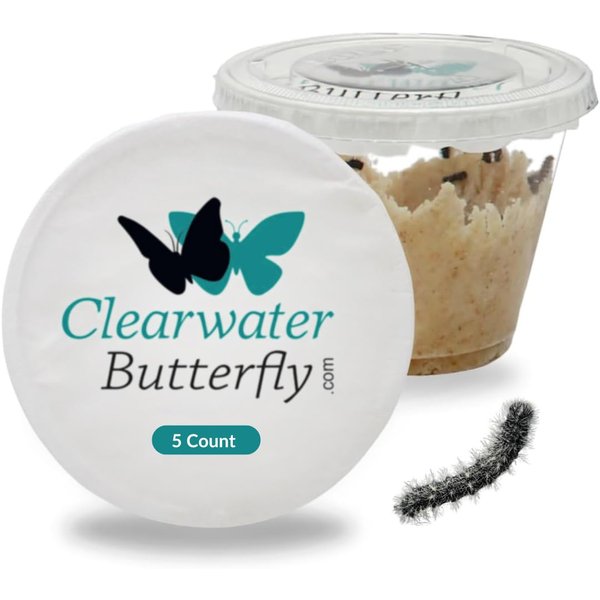 Clearwater Butterfly Live Painted Lady Butterflies - 5 Live Caterpillars - Live Caterpillars to Butterflies - Caterpillars for Butterfly Kit - Mesh Cage Not Included - Live Butterfly Kit - 5 Count