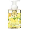 Michel Design Works Foaming Hand Soap, Lemon Basil, 17.8 Ounce