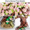CEACYDIK Sakura Bonsai Building Kit,Flower Botanical Collection Construction Building Toy,Toy Building Block with Glass Cover，Building Blocks Set for Adults and Kids
