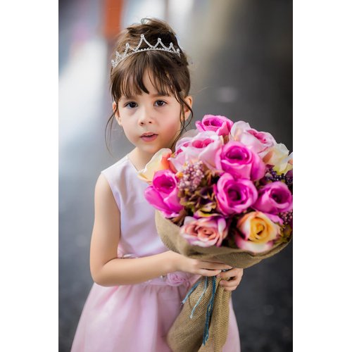 Lovelyshop Girls Royal Rhinestone Tiara for Birthday Princess Party