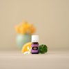 Young Living - Envision Essential Oil Blend 5 ml | Ideal for Aromatherapy for Creativity & Awakening Your Inner Drive | Emotional Balance Support | Inspiring Aroma