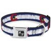 Buckle-Down 11-17" Colorado Flag/Snowboarder Weathered Dog Collar Bone, Medium