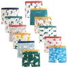 JackLoveBriefs Boys Cotton Boxer Briefs Dinosaur Polar Bear Toddler Kids Underwear 12 Pack, 3-5 Years, Blue, Size: M