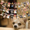 3Pcs Chihuahua Party Banner Chihuahua Dog Birthday Party Decorations Dog Party Supplies Chihuahua Birthday Cutout Banner for Pet Dog Theme Baby Shower Supplies