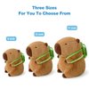 Ditucu Cute Capybara Plush with Turtle Backpack Soft Capibara Stuffed Animals Plushies Toys Hugging Gifts for Kids Brown 9 inch