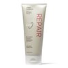 ion Repair BB Cream Leave in Conditioning Treatment, for All Hair Types, Paraben Free & Vegan 6 fl oz