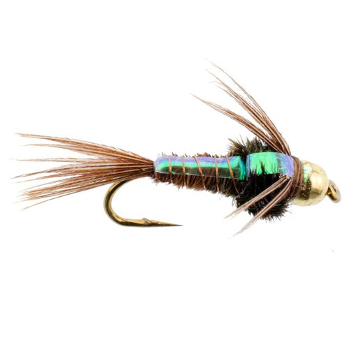 The Fly Fishing Place Bead Head Flash Back Pheasant Tail Nymph Fly Fishing Flies - Trout and Bass Wet Fly Pattern - 6 Flies Hook Size 16