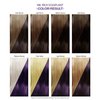 Adore Semi Permanent Hair Color - Vegan and Cruelty-Free Hair Dye - 4 Fl Oz - 186 Rich Eggplant (Pack of 2)