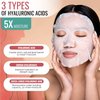 NATURAL Korean Sheet Mask (10 pcs set) made with Premium Tencel, Hydrating Face Masks, Face Sheet Mask, Korean Face Mask Skin Care For Women, Teen, Girls, Mens, Beauty Mask, Spa face Masks for a Youthful K-Beauty Glow