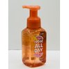 Frose All Day Gentle Foaming Hand Soap 8.75 Ounce Pump Bottle Wash