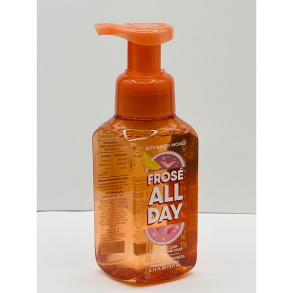 Frose All Day Gentle Foaming Hand Soap 8.75 Ounce Pump Bottle Wash