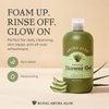 Aruba Aloe Refreshing Shower Gel - Gentle Cleansing, Soap-free, Hydrating Formula - Suitable for Sensitive Skin - 2 oz Tube