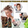 Hair Dye Shampoo 3 in 1, Herbal Shampoo Hair Dye for Women Men, Grey Coverage Shampoo 500ml (Chestnut Brown)