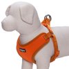 Blueberry Pet 4 Colors Better Basic Dog Harness Vest, Orange Fusion, Chest Girth 17" - 21"