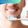 Electric Toothbrush Replacement Brush Heads - 4Pcs Travel Toothbrush Medium Adult Electric Toothbrush Head Replacements - Toothbrush Soft Bristles Spin Brush Heads Replacement Toothbrush Heads