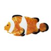 Funny Clownfish Hair Clip,Acetate Claw Clips,Hair Clips for Women