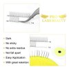 Premade Fans Eyelash Extensions 4D-D-0.10-13 Long Stem Premade Volume Eyelash Extensions Volume Lash Extensions .07 .10 Premade Volume Fans C D Curl Pre made Lash Fans(4D-D-0.10,13 mm)